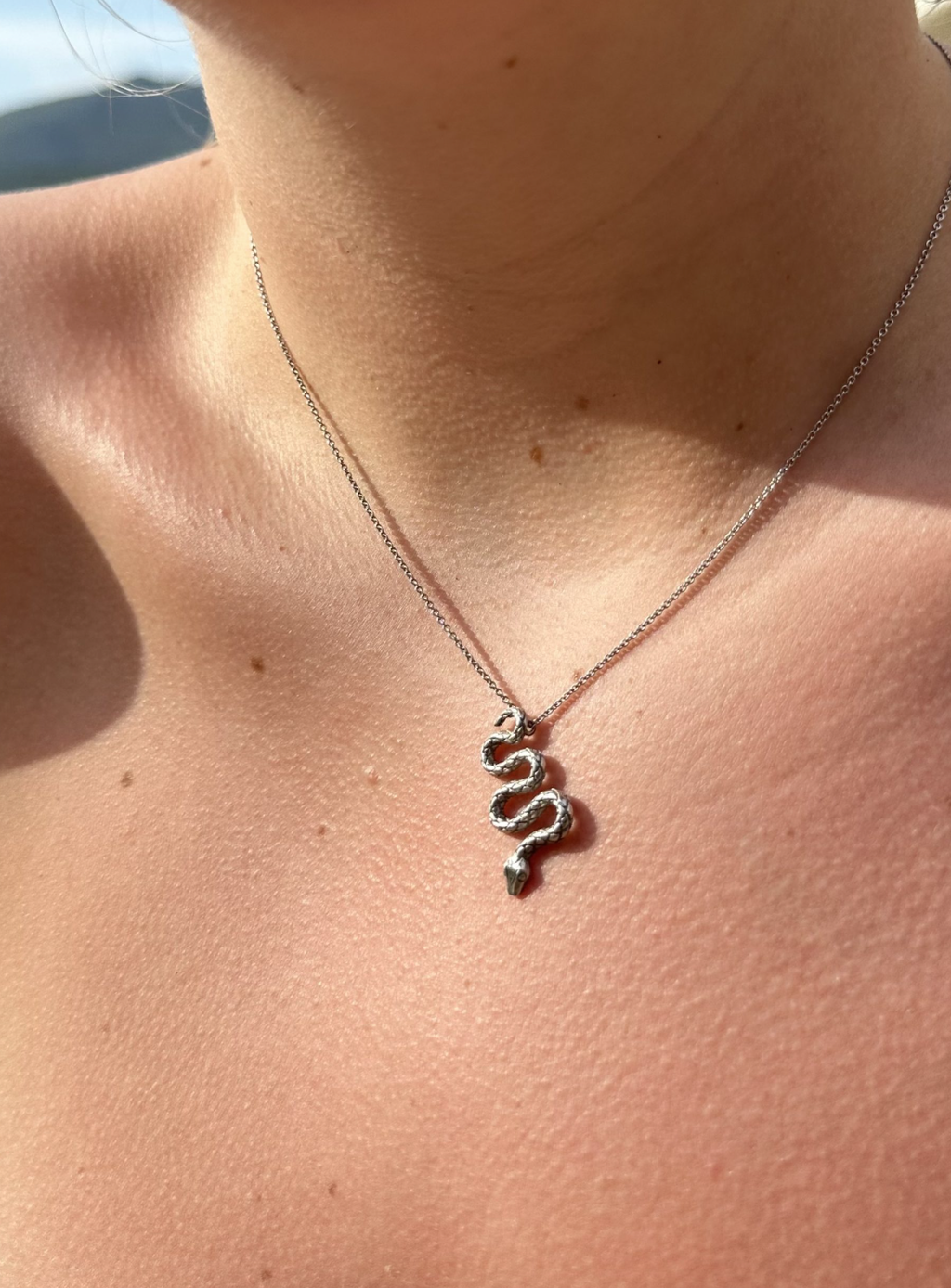 Snake Pendant Necklace