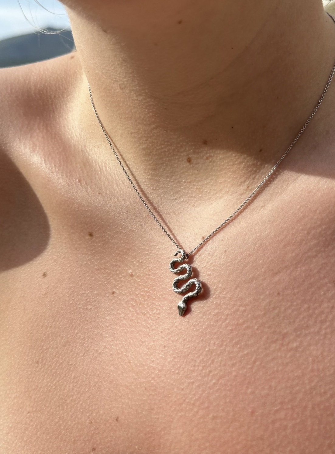 Snake Pendant Necklace